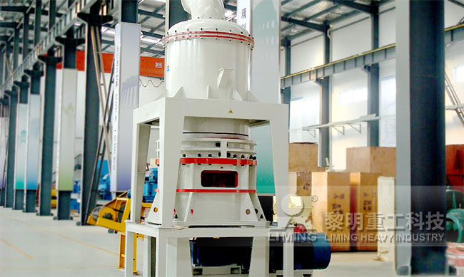 客戶來廠參觀 MW環(huán)輥微粉磨現(xiàn)場圖