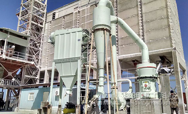 客戶來廠參觀 烏茲別克斯坦熟石灰加工項目